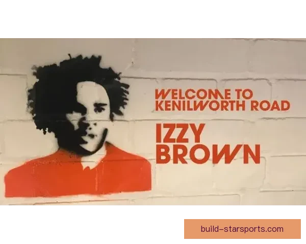 卢顿俱乐部最新赛季动态与球队发展战略全面解析